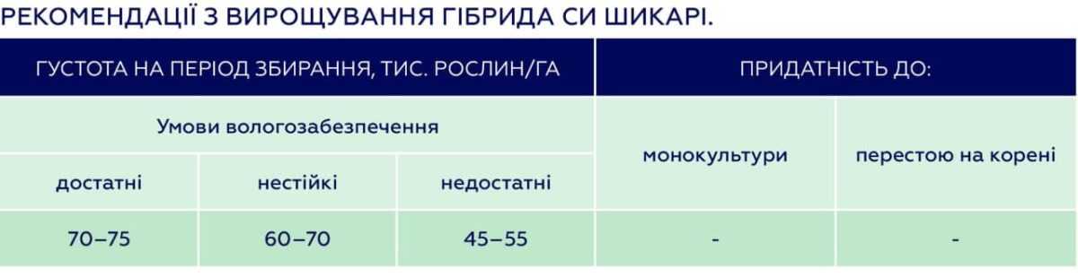 СИ Шикарі: новий гібрид кукурудзи для раннього урожаю від компанії «Сингента»