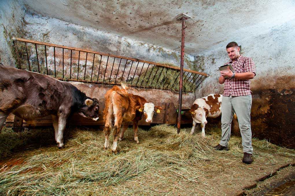 Pantheon_Farming_Jost_Gantar-(52)