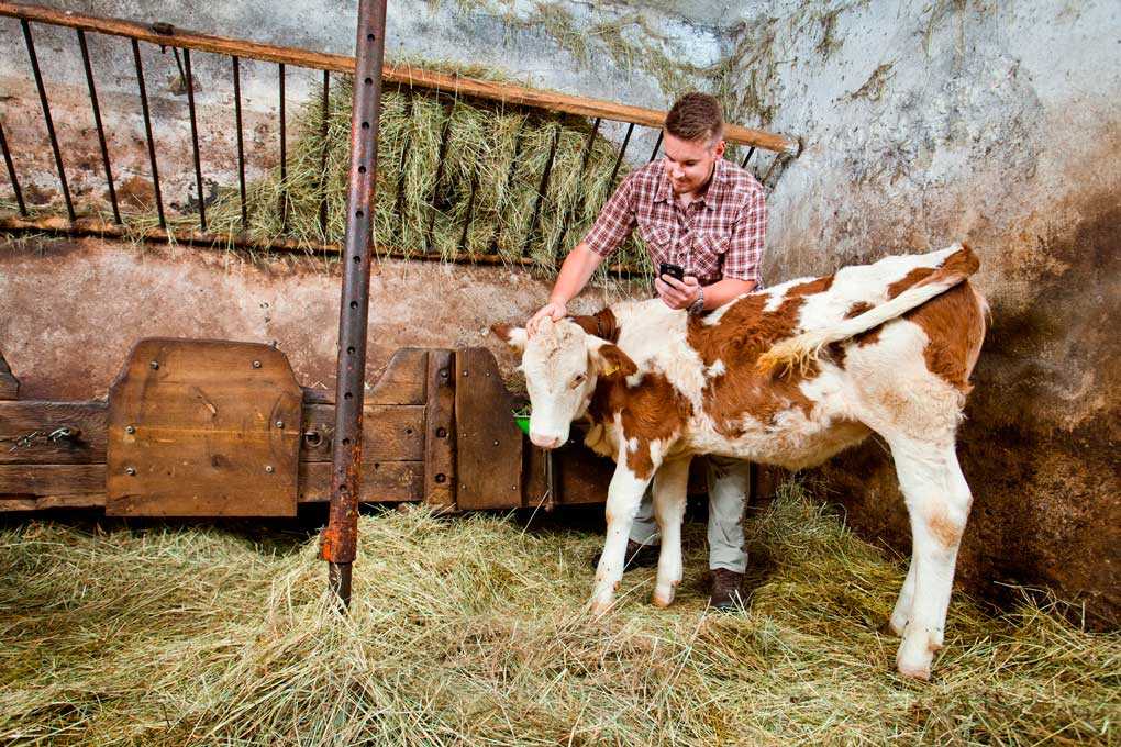 Pantheon_Farming_Jost_Gantar-(54)