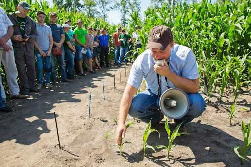 Компания DuPont Pioneer Украина представила результаты агрономических опытов для кукурузы