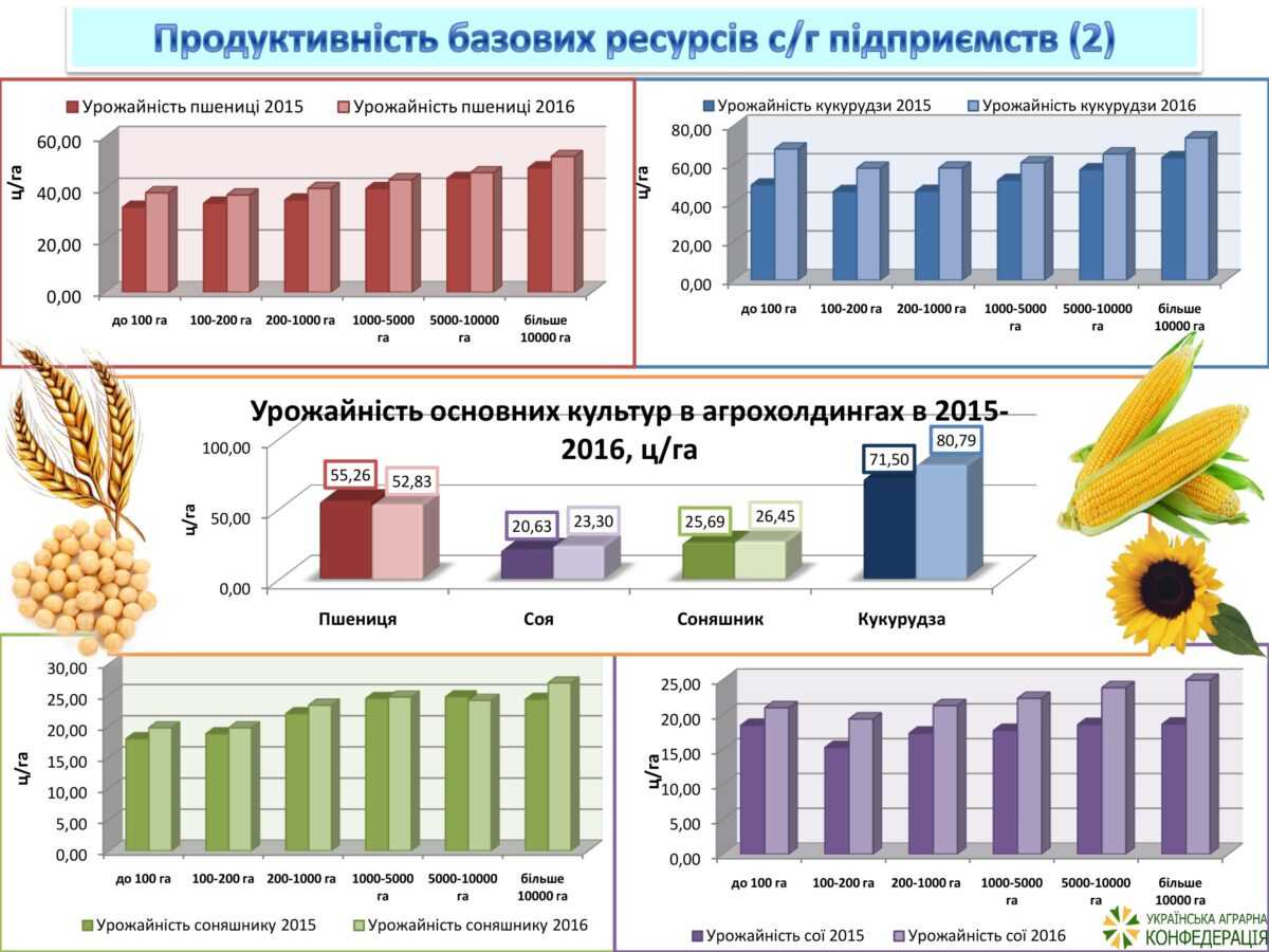 Найефективніше використовують землю агрохолдинги. Дослідження