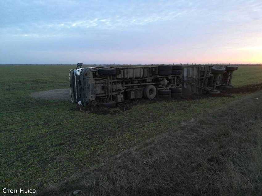 На автотрасі Мелітополь-Одеса перекинулася вантажівка з соняшником (фото)