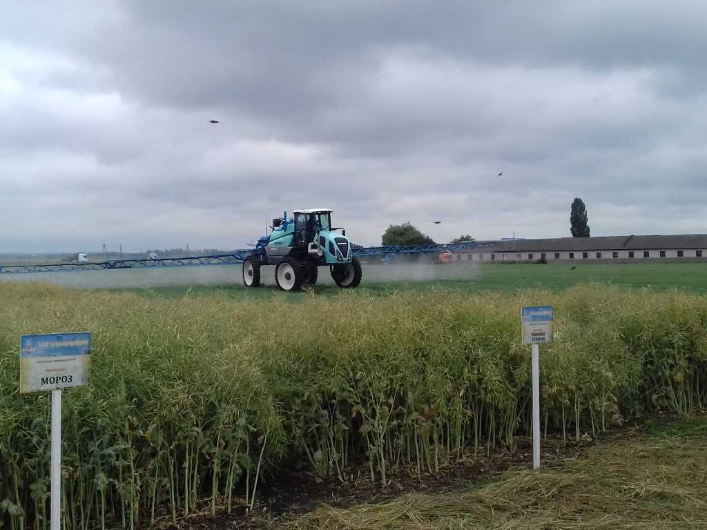 Як пройшов День поля на Бучацькій землі