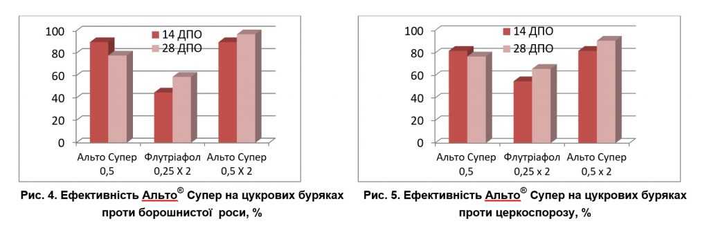 Урожай цукрових буряків під загрозою