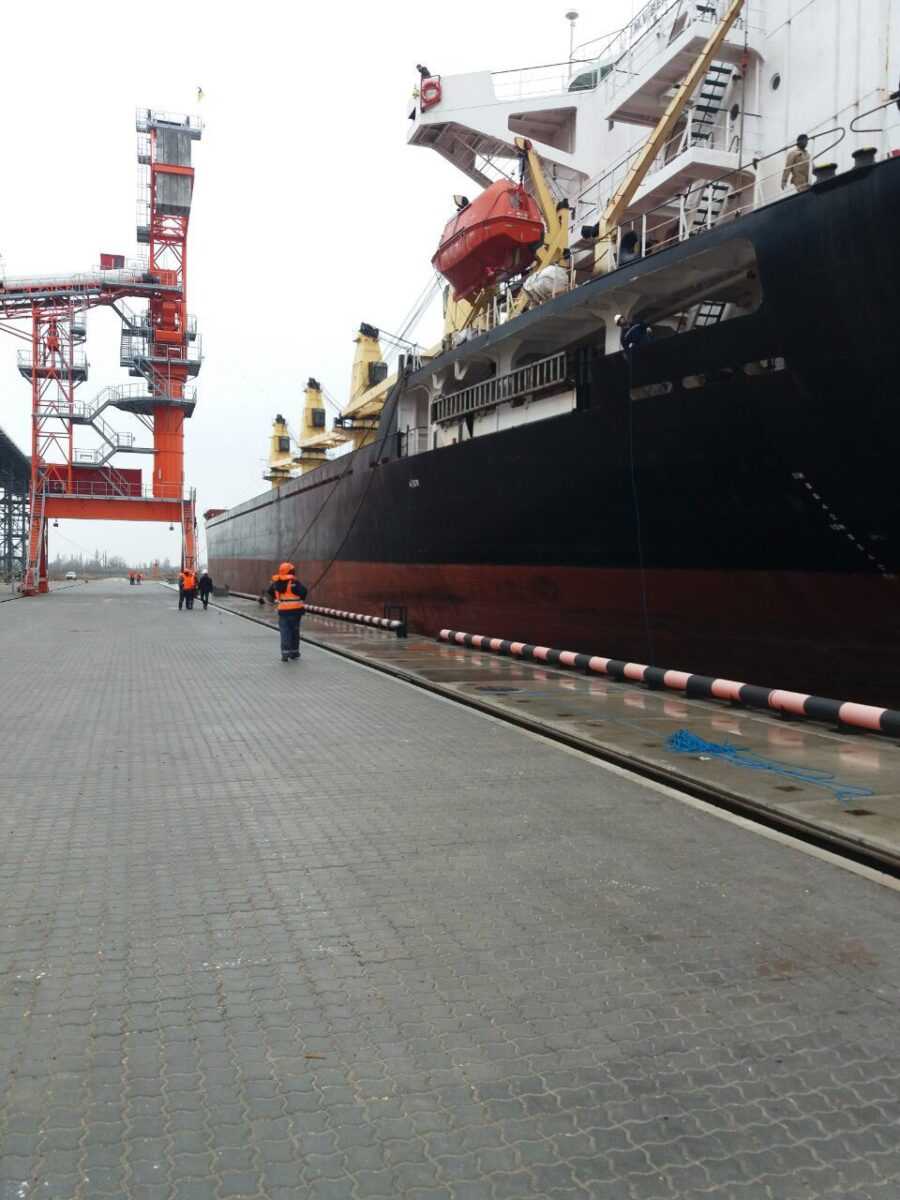 Новий морський термінал Євровнєшторг у порту Ольвія обробив перше судно