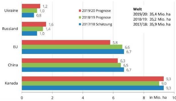 За прогнозами щодо вирощування ріпаку Європа програє Україні