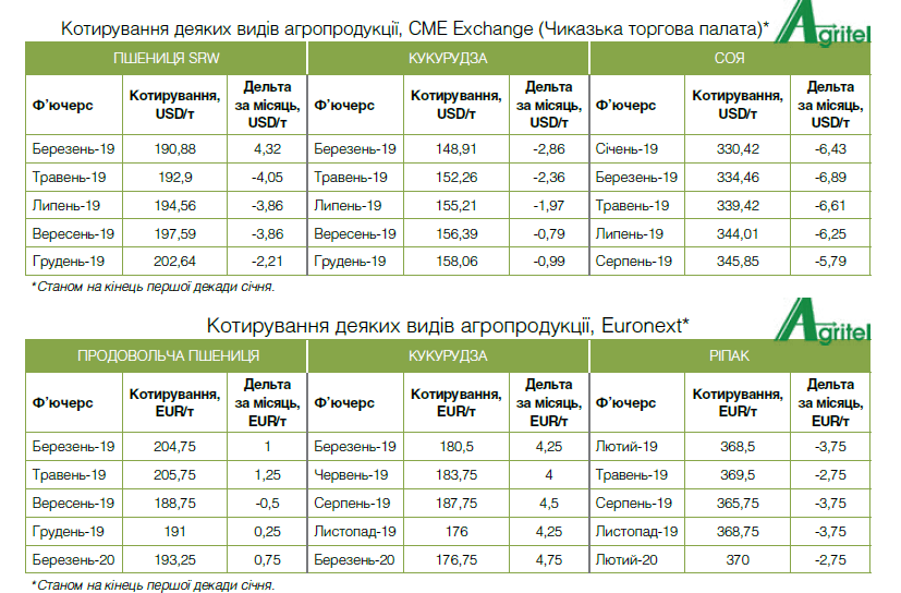 5 причин, чому Україна поб’є рекорд з експорту кукурудзи