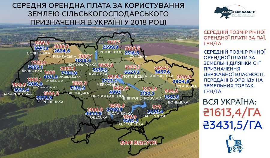 Держава здає землі в оренду вдвічі дорожче, ніж власники паїв (ІНФОГРАФІКА)