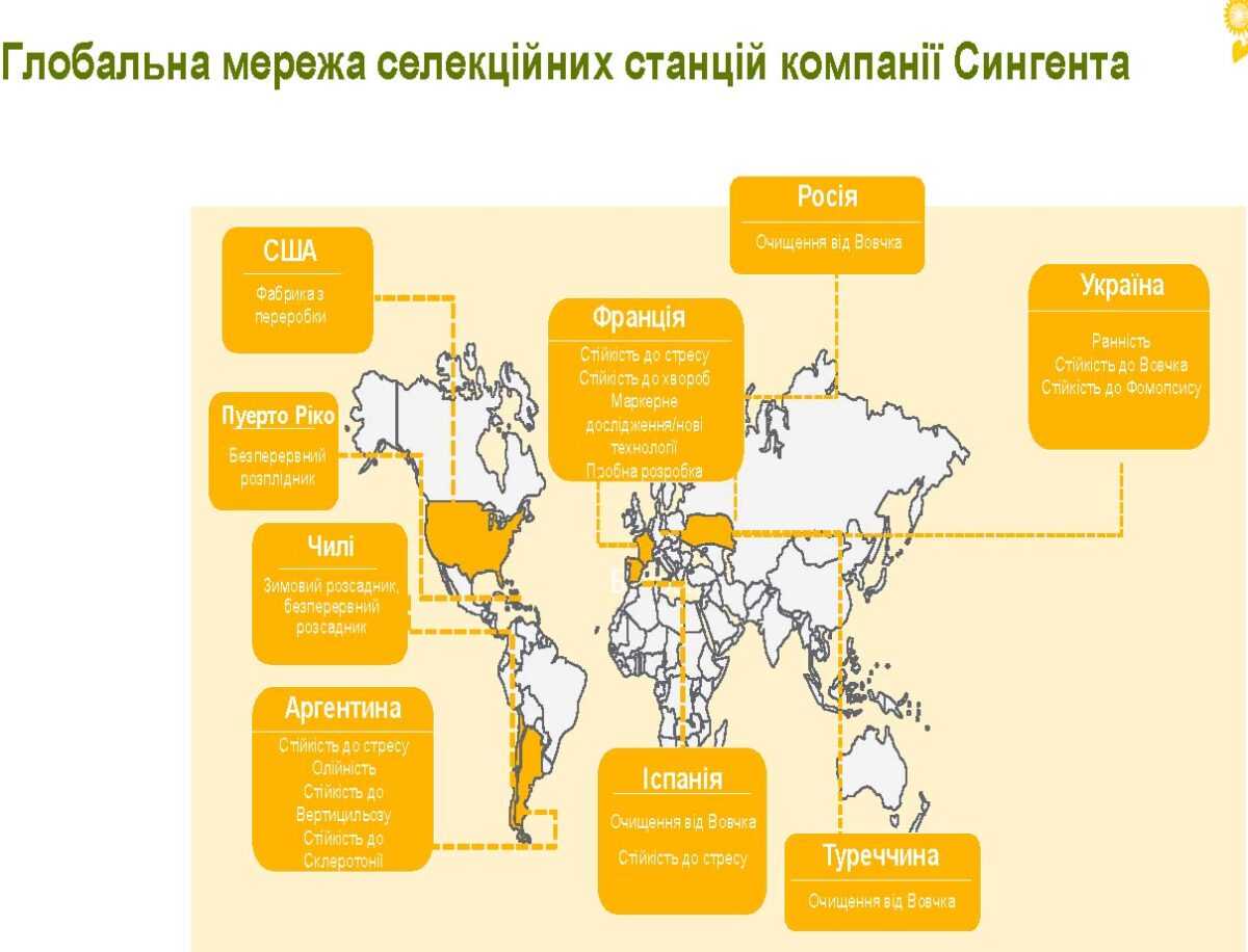 На розробку нового гібрида потрібно 10 років – Syngenta