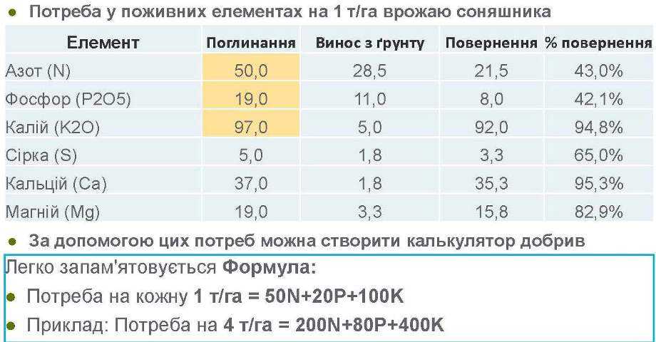 Що насправді впливає на урожайність соняшнику: Луїс Карлос Алонсо спростовує 10 міфів