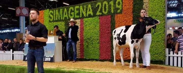 Сенсація: на аукціоні SIMA в Парижі корову продали за 130 тис. євро