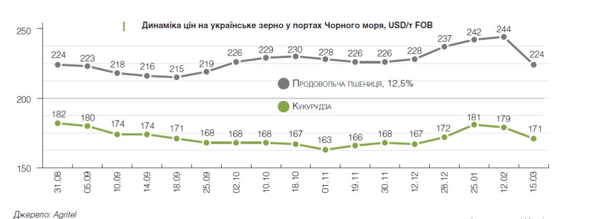 Жорстка конкуренція на ринку кукурудзи та застій пшениці: ТОП-3 світові прогнози