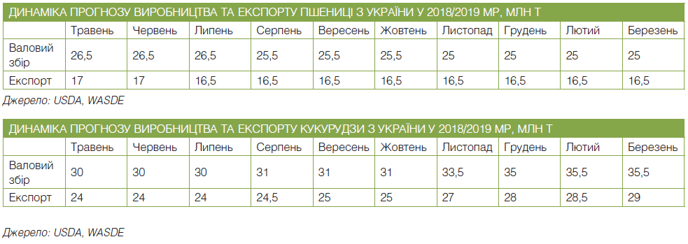 Жорстка конкуренція на ринку кукурудзи та застій пшениці: ТОП-3 світові прогнози