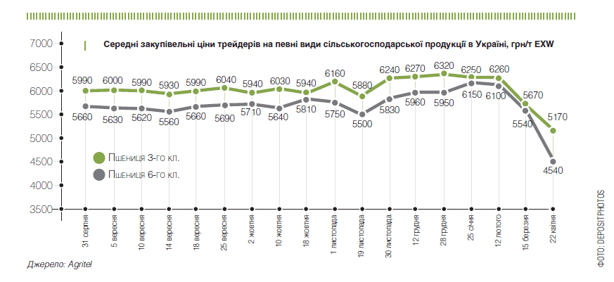 Цьогоріч валовий збір пшениці в Україні зросте до 27,5 млн т