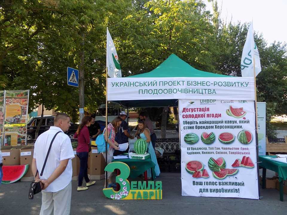 Ягода вагою 32 кг: на Херсонщині визначили найбільший кавун