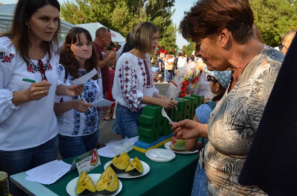 Ягода вагою 32 кг: на Херсонщині визначили найбільший кавун