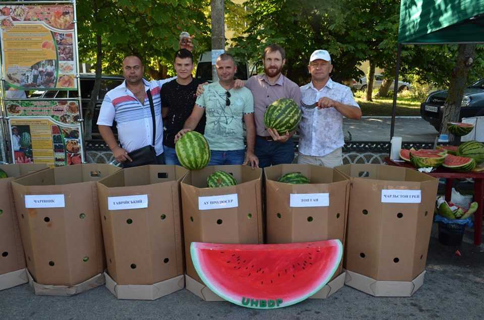 Ягода вагою 32 кг: на Херсонщині визначили найбільший кавун