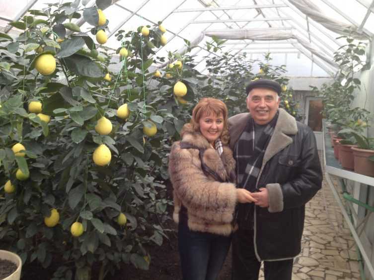 Ананаси, інжир, фейхоа, папайя  – 40 тис. екзотів вирощує фермер на Київщині