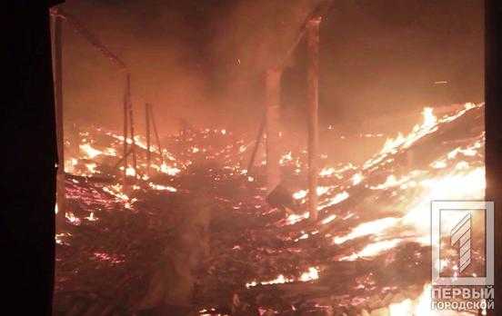 Пожежа поблизу Кривого Рогу: згоріло 1500 т насіння соняшнику ФОТО