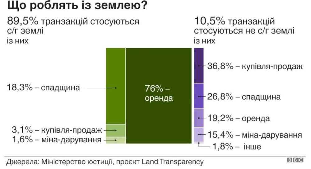 Скільки сільгоспземлі держава зможе виставити на продаж – ВВС News
