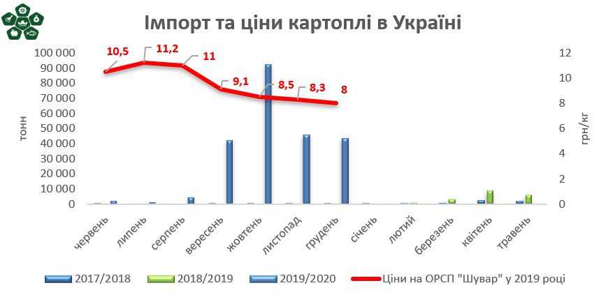 Картопля подешевшала на 20%: коли ціни знову підуть вгору