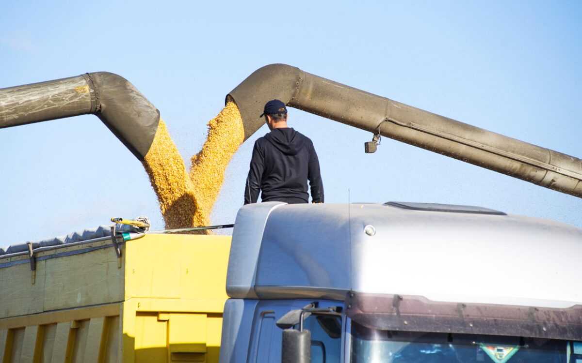 Врожайність на підприємствах A.G.R. Group вища, ніж у середньому по Україні — Давид Ананян