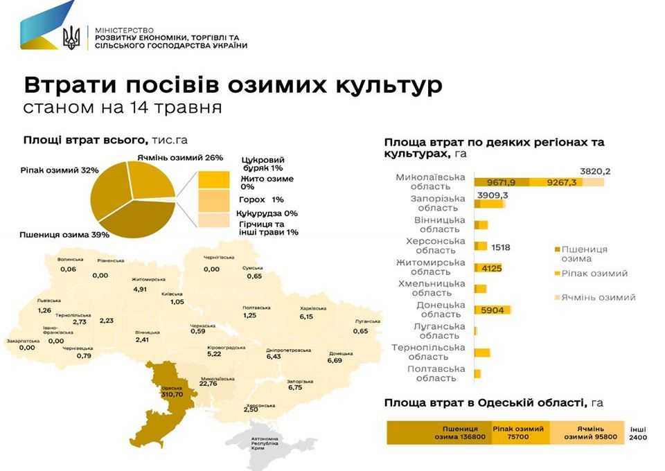 Тарас Висоцький: у Бессарабії загинуло 80-100% озимини, пересівати сенсу немає