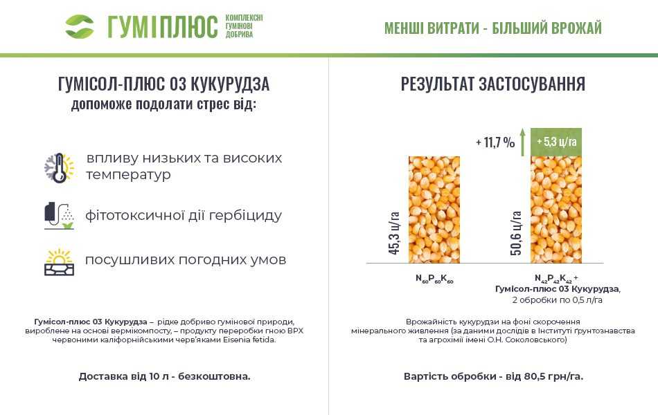 Як зробити кукурудзу прибутковою за будь-яких умов