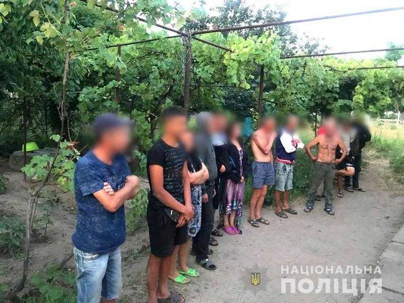 У фермерських господарствах на Херсонщині залучають рабську працю