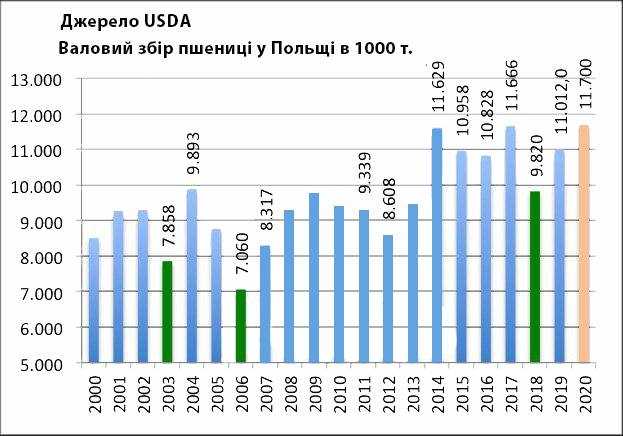 Польща складе жорстку конкуренцію Україні на зерновому ринку