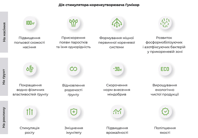 Як передпосівна обробка насіння впливає на врожайність озимих
