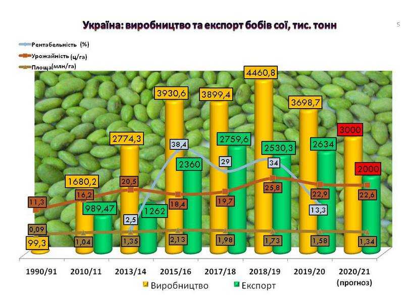 Переробка соєвих бобів в Україні скоротилась на 33,4% - Укроліяпром