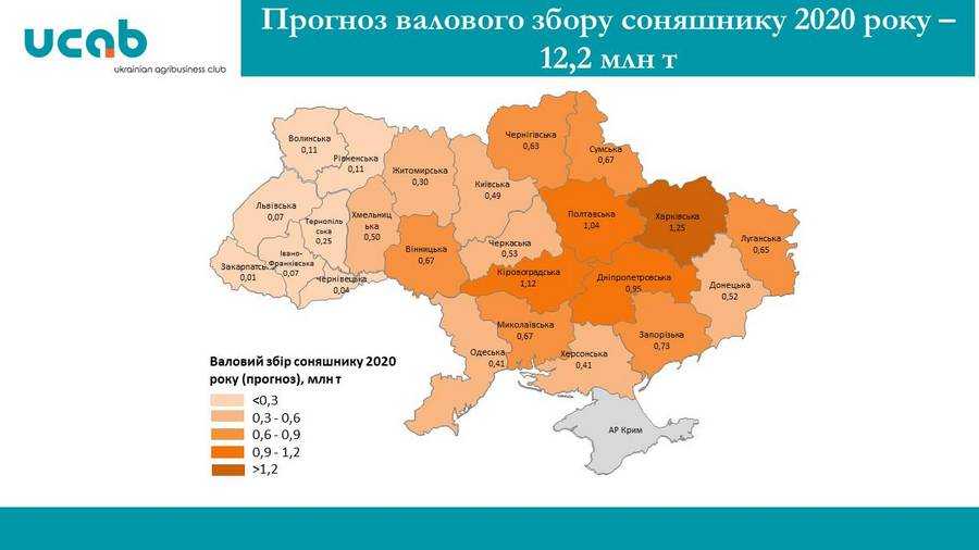Врожай кукурудзи і соняшника буде значно менший за очікуваний