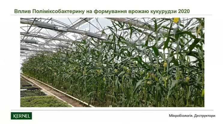 Михайло Журба: Ми переконалися в ефективності біологічних препаратів