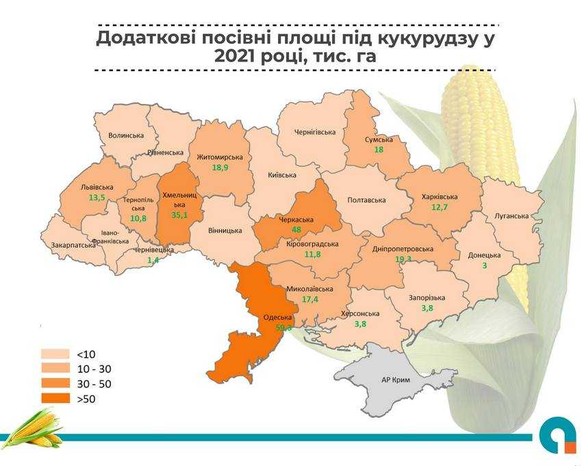 Площі під соняшником у 2021 році можуть сягнути майже 7 млн га