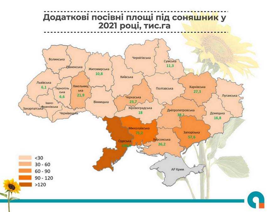 Площі під соняшником у 2021 році можуть сягнути майже 7 млн га