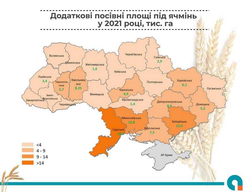 Площі під соняшником у 2021 році можуть сягнути майже 7 млн га
