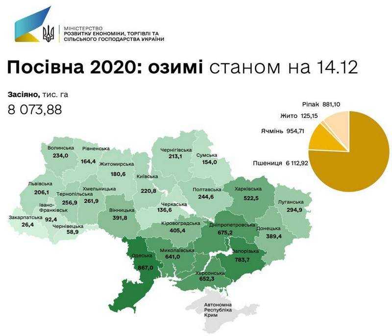 Підсумки сезону: регіони з площею озимих культур понад 500 тис га