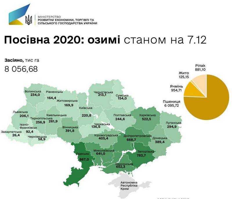 В Україні посіяно більше 8 млн га основних озимих культур