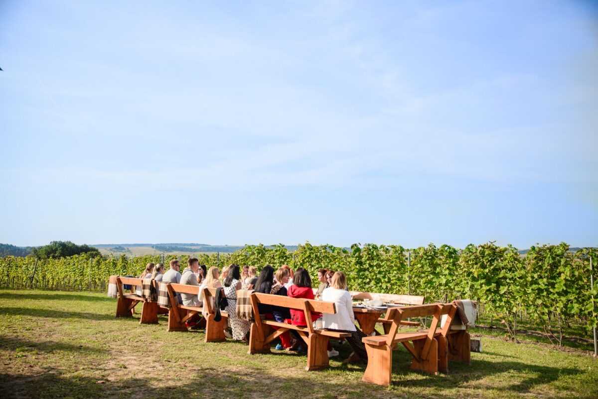 Галицький виноробний рай Chateau Edem