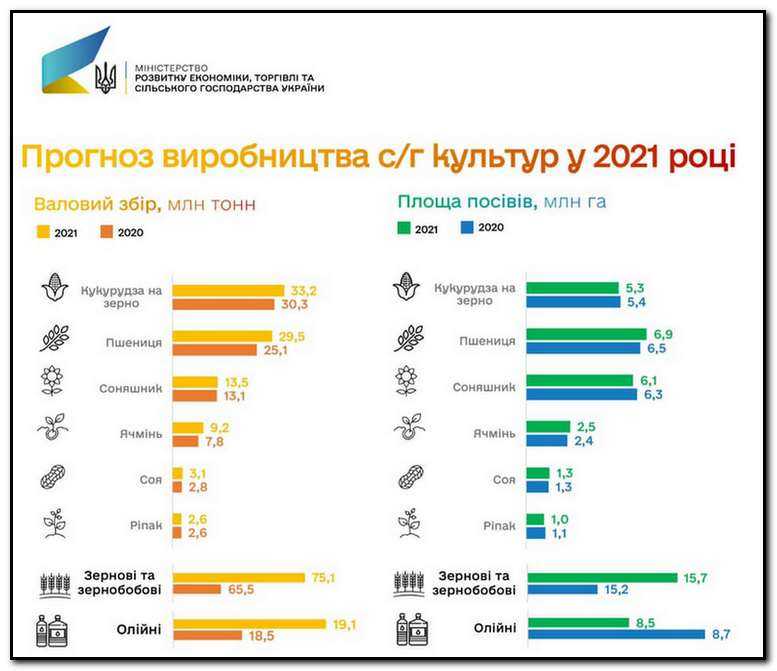 Прогноз валового збору зерна в Україні на 2021 рік – 75 млн т