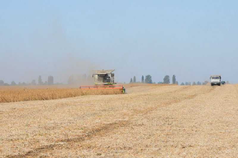 На Київщині триває історія захисту від незаконного дерибану державних земель