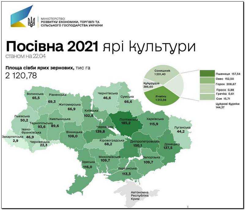 Посівна 2021: сільгоспвиробники засіяли 1,2 млн га соняшника