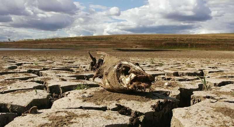 Як зміниться клімат України через 50 років