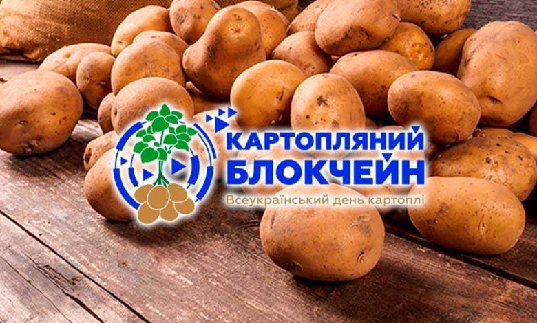 Виробників картоплі, ритейлерів та переробників запрошують на Картопляний блокчейн-2021