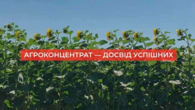 В Україні з’явилася нова онлайн-платформа для аграріїв