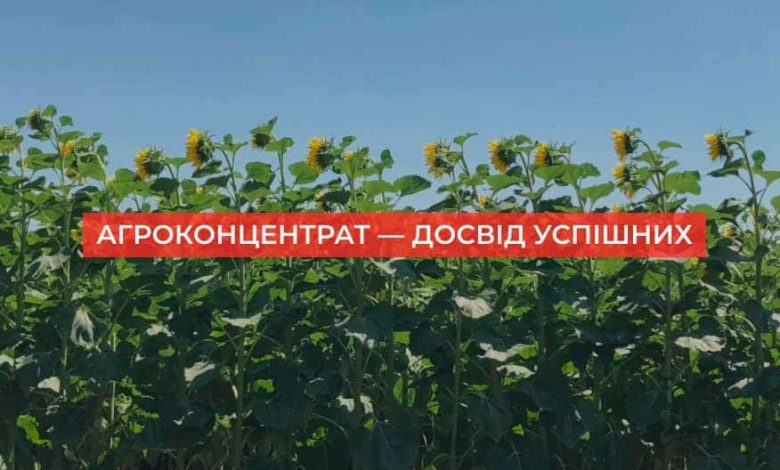 В Україні з’явилася нова онлайн-платформа для аграріїв