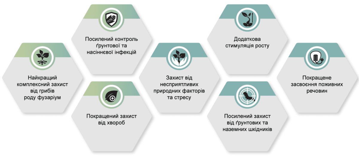 ELEVATION — новий бренд захисту насіння від компанії «Сингента»