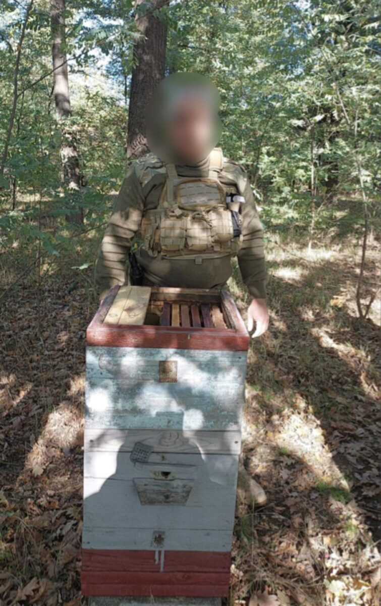 Біологічна зброя українців: у Бучі бджоли знешкодили розтяжку з гранатою