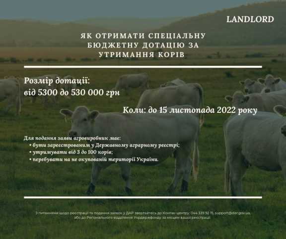 Як отримати дотацію на утримання корів: інструкція